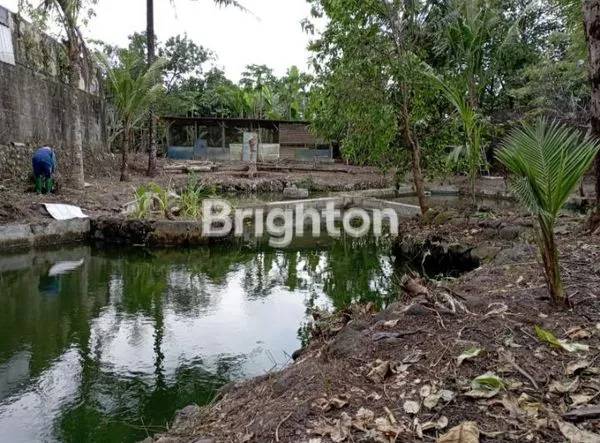 image PEKARANGAN SIAP BANGUN ATAU USAHA DEKAT SAMSAT SLEMAN  (3)