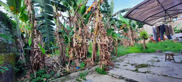 image RUMAH STRATEGIS HITUNG TANAH PINGGIR JALAN RAYA GEDANGAN SOLOBARU (8)