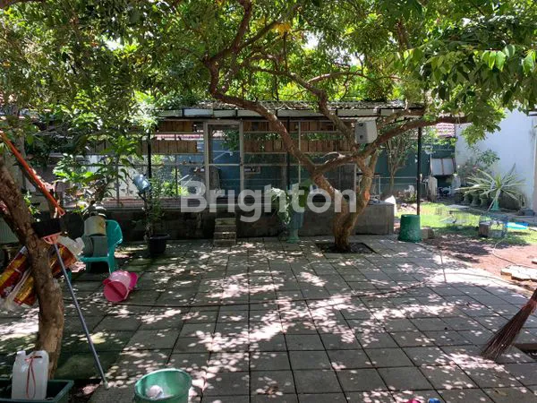 image RUMAH MEWAH 0 JALAN RAYA TENGAH KOTA DEKAT ALUN-ALUN,ADA USAHA KOS-KOSAN 13 KAMAR (6)