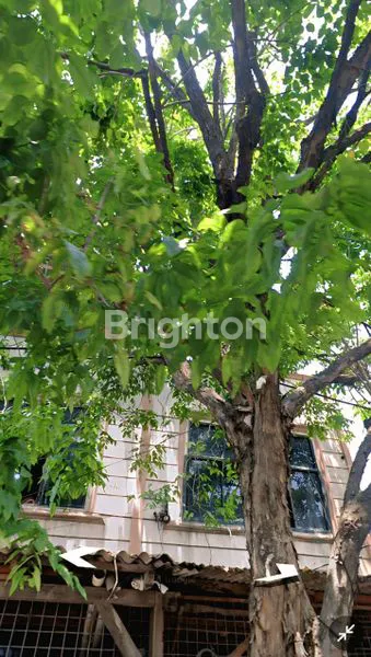 image RUKO 3 LANTAI BISA SAMBUNG 2 RUKO COCOK UNTUK GUDANG, KONVEKSI, PERCETAKAN, TEMPAT PRODUKSI, DLL DI JELAMBAR JAKARTA BARAT. (1)