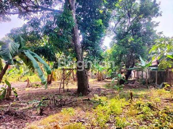 image KAHFI 1, JAGAKARSA, JAKARTA SELATAN (8)