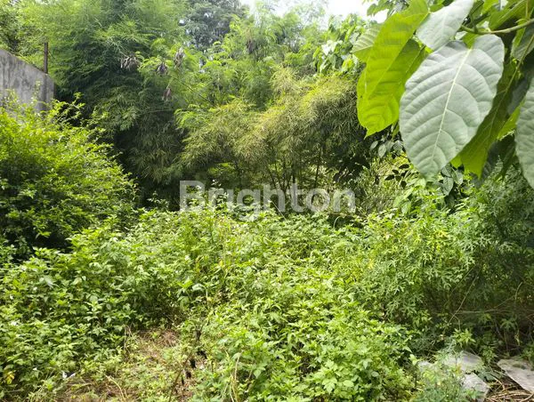 image TANAH LUAS CANDIASRI SEMARANG  (4)