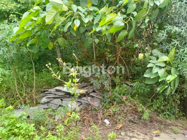 image TANAH LUAS CANDIASRI SEMARANG  (3)