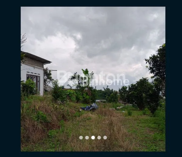 image TANAH KOMERSIAL MEGAMENDUNG CISARUA BOGOR (1)