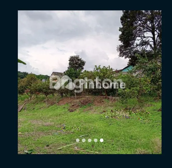 image TANAH KOMERSIAL MEGAMENDUNG CISARUA BOGOR (4)