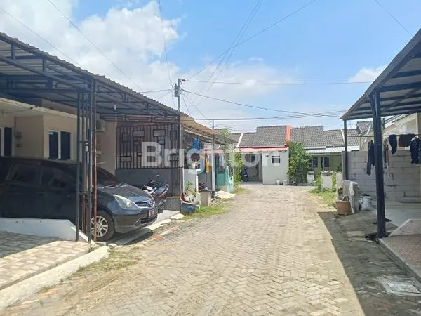 image SIAP HUNI AREA SEMARANG (3)