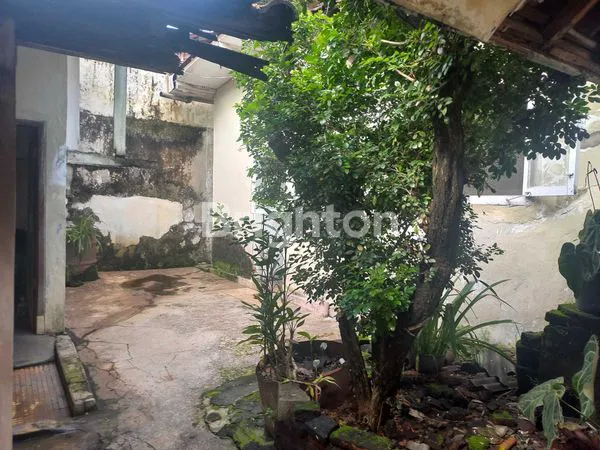 image DIJUAL RUMAH LECES PROBOLINGGO (6)