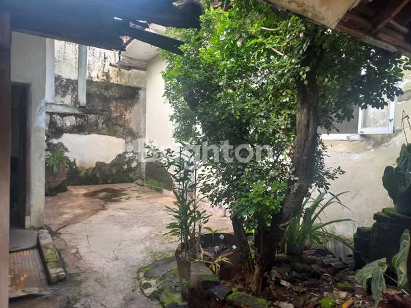 image DIJUAL RUMAH LECES PROBOLINGGO (7)