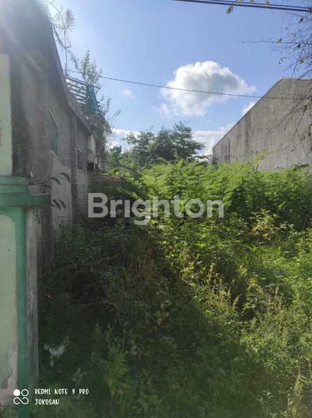 image TANAH PEKARANGAN DAERAH SANJAYA MUNTILAN (5)