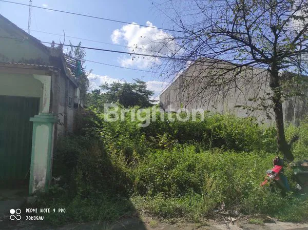 image TANAH PEKARANGAN DAERAH SANJAYA MUNTILAN (2)