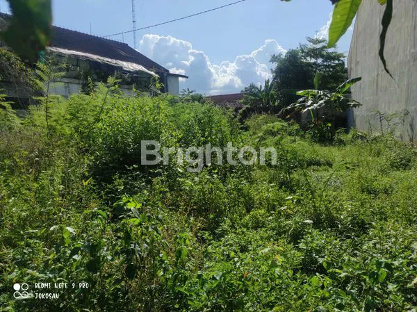 image TANAH PEKARANGAN DAERAH SANJAYA MUNTILAN (4)