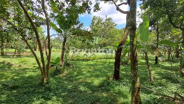 image JUAL TANAH BESERTA VILLA SELUAS 2.5HA DI LOKASI BERKEMBANG KATULAMPA (4)