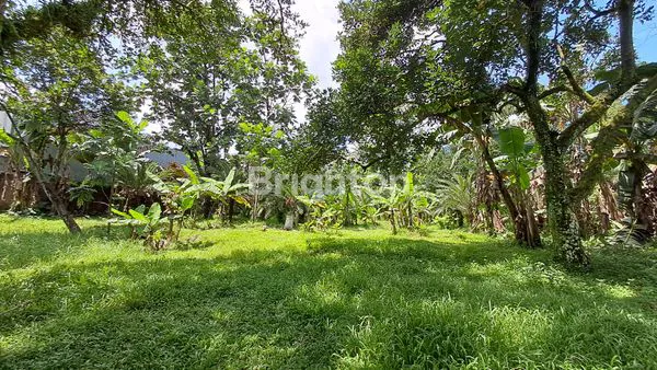 image JUAL TANAH BESERTA VILLA SELUAS 2.5HA DI LOKASI BERKEMBANG KATULAMPA (3)