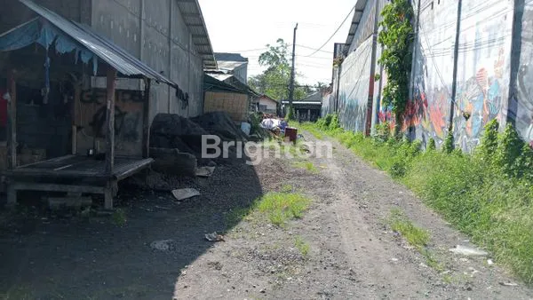 TANAH SEWA COCOK UNTUK VILLA AREA UBUD