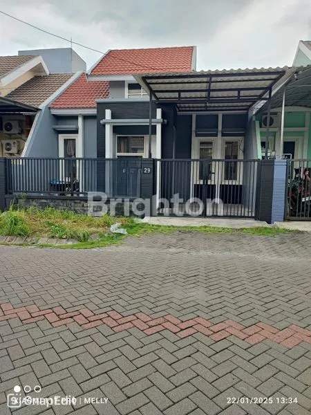 image MELON PONDOK CHANDRA TERMURAH!!!  (1)