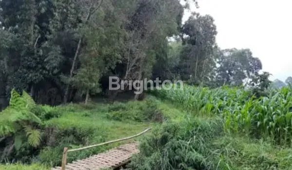 image TANAH DI PUJON KIDUL MALANG (3)