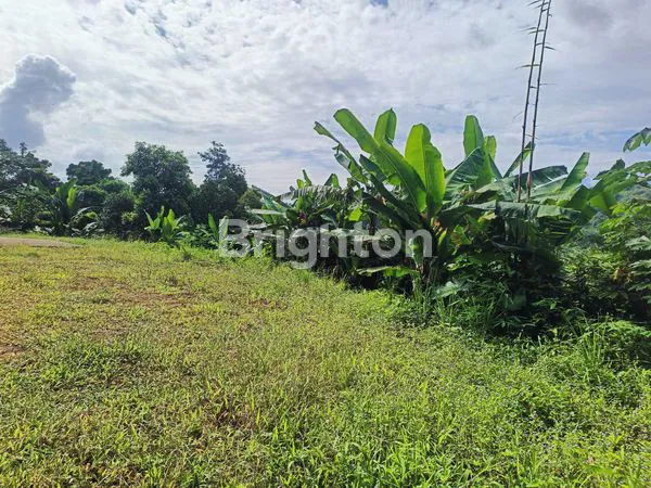 image INVESTASI AMAN DAN CERDAS!TANAH MURAH DI LEUWILIANG BOGOR  (1)