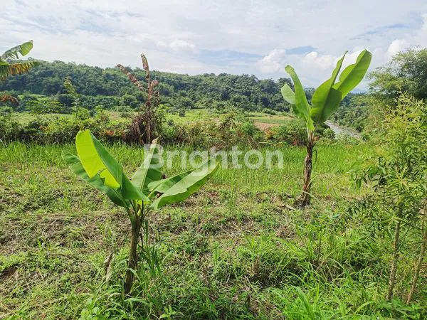 image INVESTASI AMAN DAN CERDAS!TANAH MURAH DI LEUWILIANG BOGOR  (3)