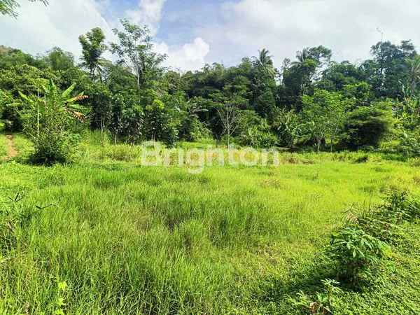 image INVESTASI AMAN DAN CERDAS!TANAH MURAH DI LEUWILIANG BOGOR  (5)