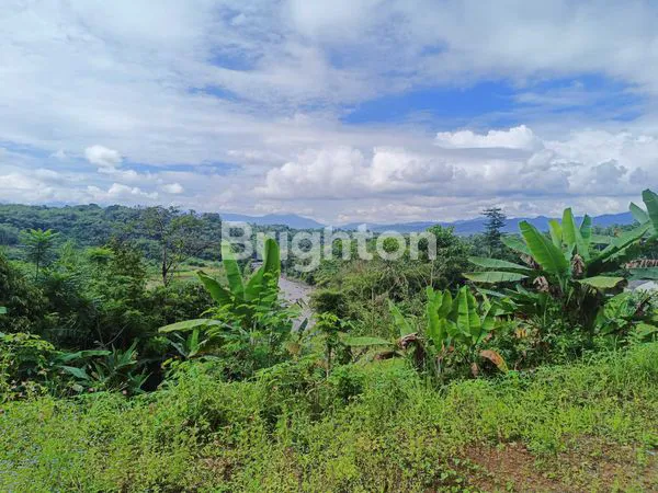 image INVESTASI AMAN DAN CERDAS!TANAH MURAH DI LEUWILIANG BOGOR  (6)