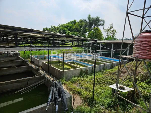 image RUKO NOL JALAN COCOK UNTUK SHOWROOM ATAU EKSPEDISI (6)