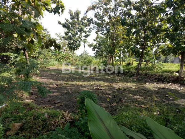 image MURAH TANAH SELOKATON GONDANGREJO (1)