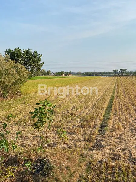 image TANAH KERING JALAN RAYA BAKI PAKIS SUKOHARJO (2)