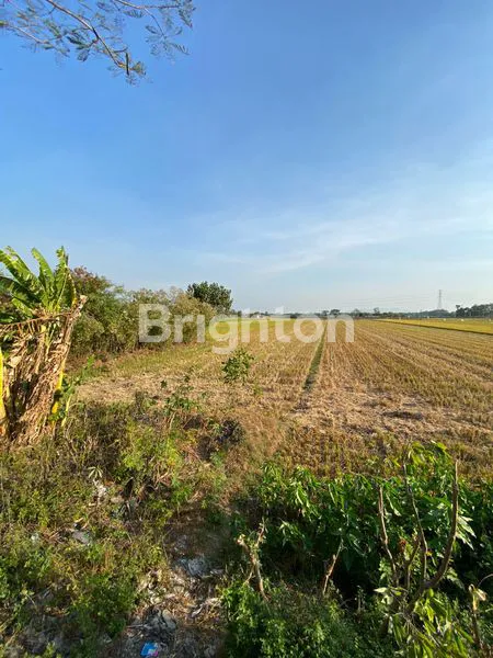 image TANAH KERING JALAN RAYA BAKI PAKIS SUKOHARJO (3)