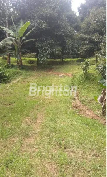 image JUAL TANAH SELUAS 5704M LOKASI SENTUL JAYANTI (6)