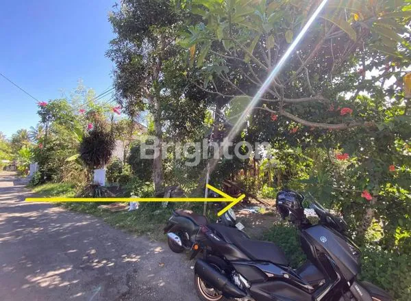 image DIJUAL TANAH TABANAN (1)