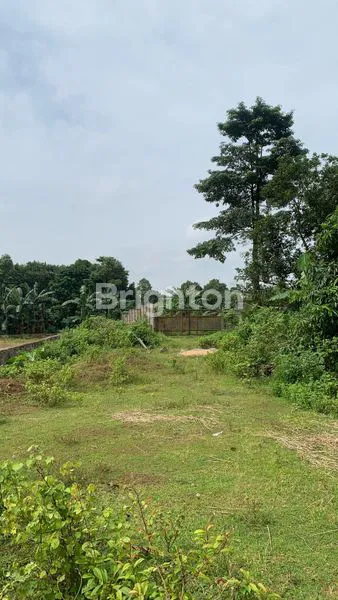 image TANAH CIKEUSAL SERANG 9013M (4)