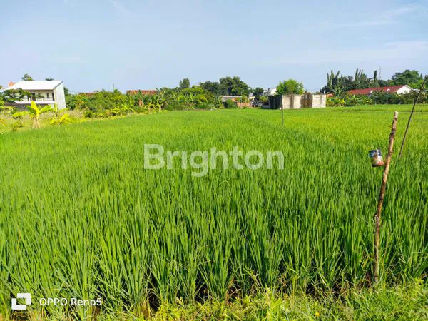 image TANAH SAWAH DI JUAL DEKAT CALON KAMPUS TERPADU JANABADRA DI JALAN KABUPATEN, DONOKITRI,  TRIHANGGO,  GAMPING, SLEMAN, YOGYAKARTA (4)