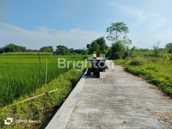 image TANAH SAWAH DI JUAL DEKAT CALON KAMPUS TERPADU JANABADRA DI JALAN KABUPATEN, DONOKITRI,  TRIHANGGO,  GAMPING, SLEMAN, YOGYAKARTA (5)