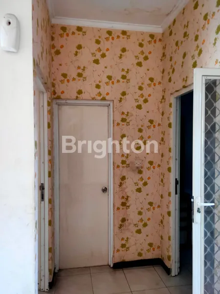 image GRANDDELTASARI CLUSTER ANTHURIUM (4)