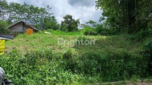 image TANAH SINGOSARI MALANG (1)