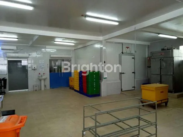 image GUDANG UNTUK BISNIS FROZEN DI KEDONGANAN JIMBARAN (2)