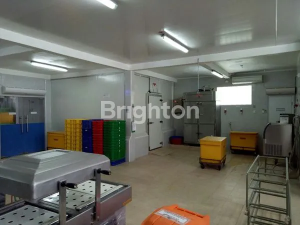 image GUDANG UNTUK BISNIS FROZEN DI KEDONGANAN JIMBARAN (7)