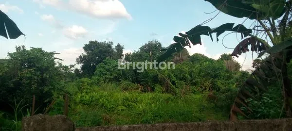 image TANAH LUAS SANGAT COCOK UNTUK USAHA APA SAJA DAN INVESTASI JANGKA PANJANG DI PINGGIR JALAN BESAR TANJUNG SARI MEDAN (1)