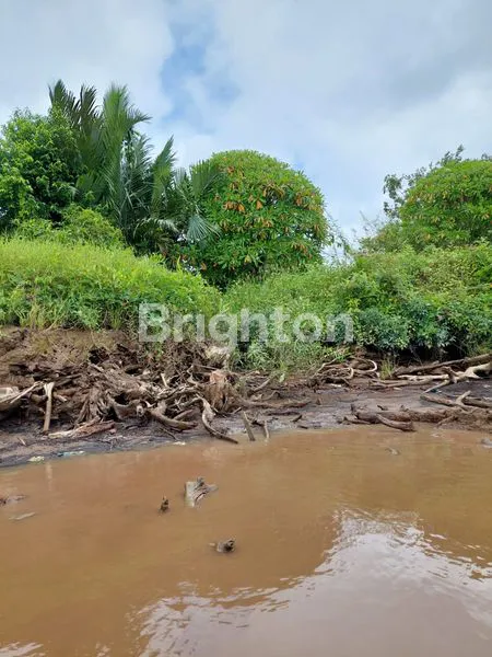 image TANAH LAHAN 1.9 HA DI PINGGIR SUNGAI KAPUAS LUPAK DALAM KALIMANTAN TENGAH (3)