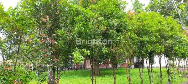 image DIJUAL TANAH BERIKUT RUMAH NYAMAN DI SUMEDANGSANGAT DEKAT GERBANG TOL CIMALAKA (8)