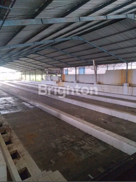 JUAL MURAH JUAL RUGI