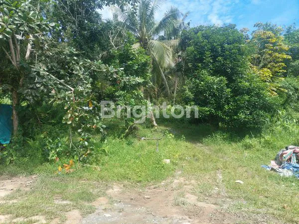 image DIJUAL TANAH DI BATAKAN (1)