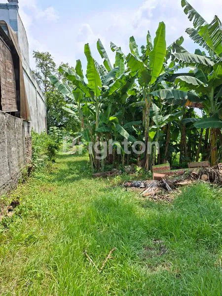 image TANAH MURAH DI PINGGIR JALAN RAYA (4)