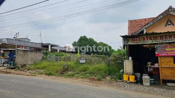 INVESTASI TANAH MURAH DI SUKAMAHI DELTAMAS