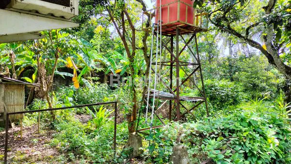 image RUMAH TANAH LUAS DI PINGGIR JALAN ASPAL GOMBONG JAWA TENGAH (5)