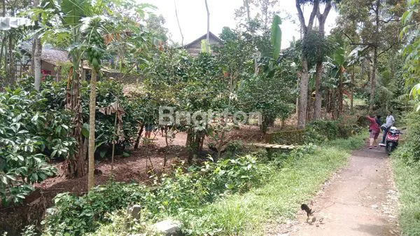 image  LAHAN KOSONG BONUS BANGUNAN UNGARAN SEMARANG (3)