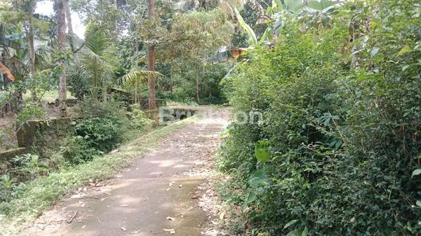 image  LAHAN KOSONG BONUS BANGUNAN UNGARAN SEMARANG (5)