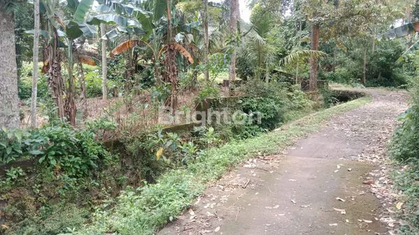 image  LAHAN KOSONG BONUS BANGUNAN UNGARAN SEMARANG (6)