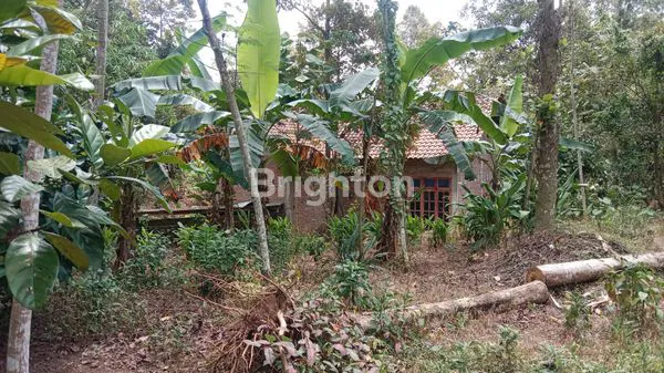 image  LAHAN KOSONG BONUS BANGUNAN UNGARAN SEMARANG (7)