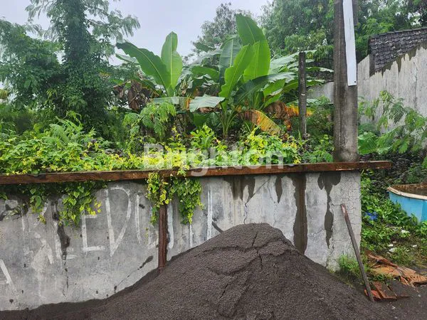 image TANAH PEKARANGAN DENGAN RUMAHNYA DI BANYUDONO (3)